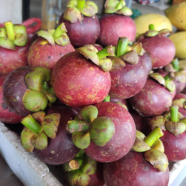 Măng cụt